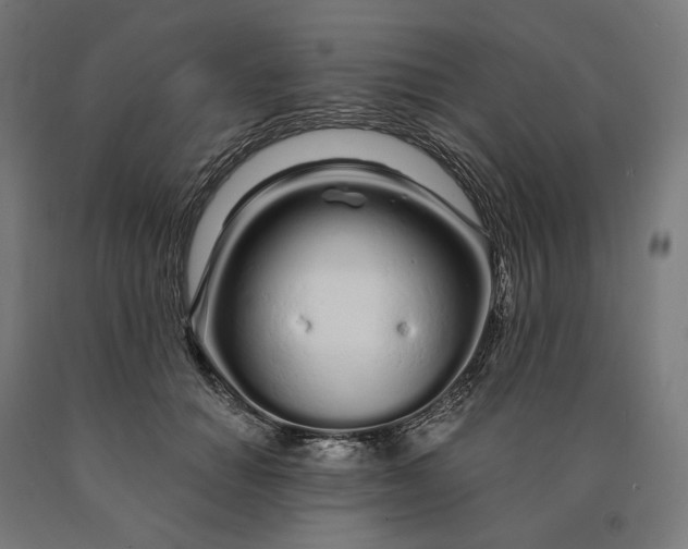 X0000090610654200707311223