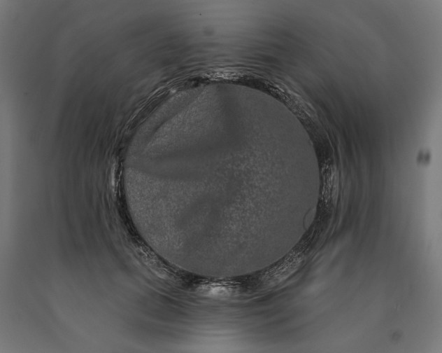 X0000090610655200707311223