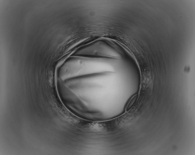 X0000090610656200707311223