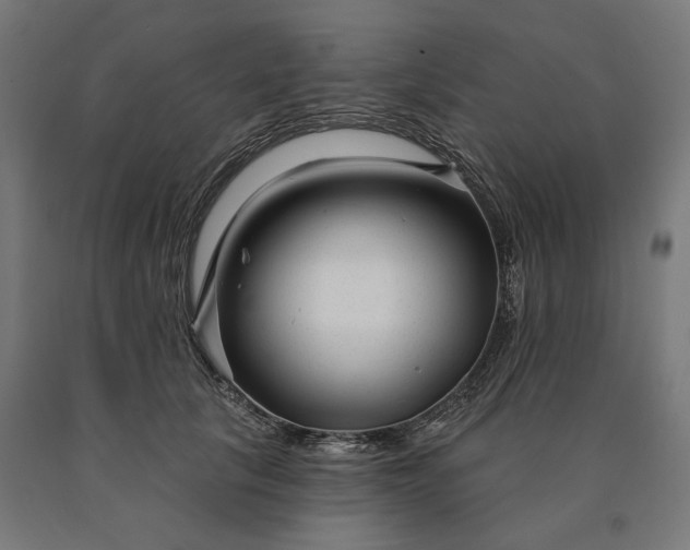 X0000090610657200707311223