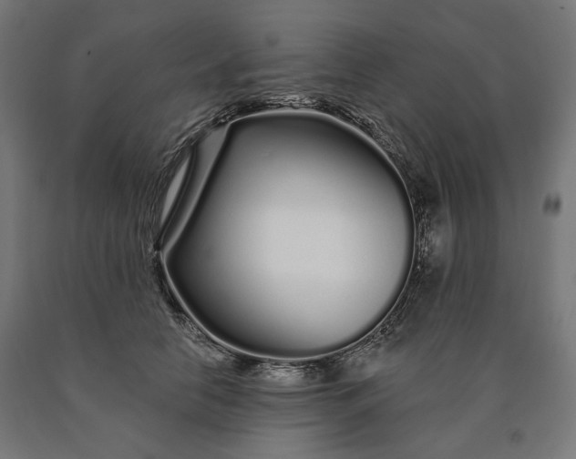 X0000090610658200707311223