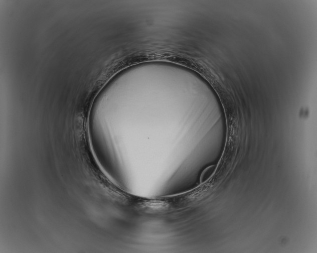 X0000090610659200707311223