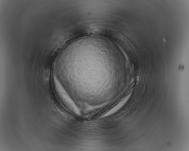 X0000090610660200707311223