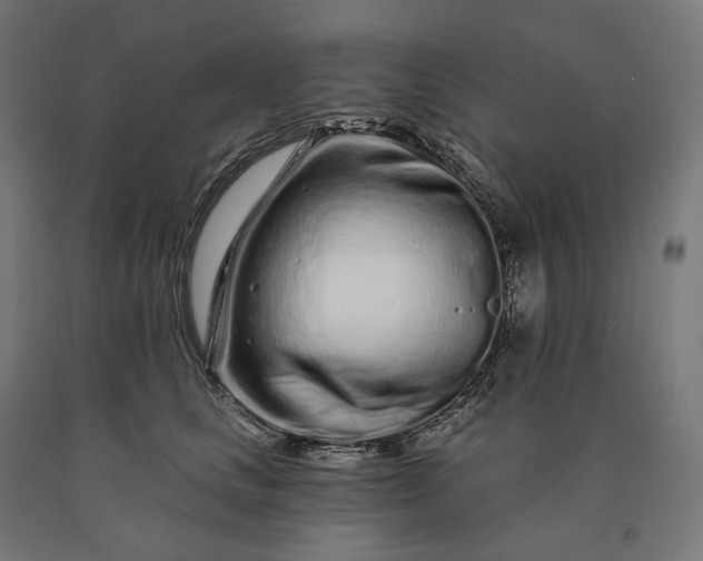 X0000090610661200707311223