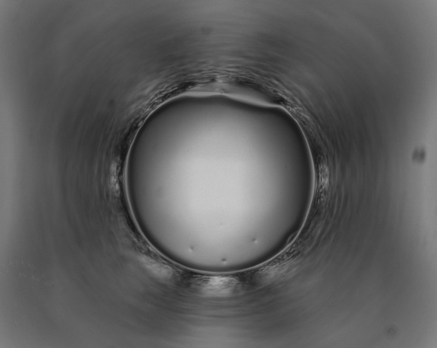 X0000090610663200707311223