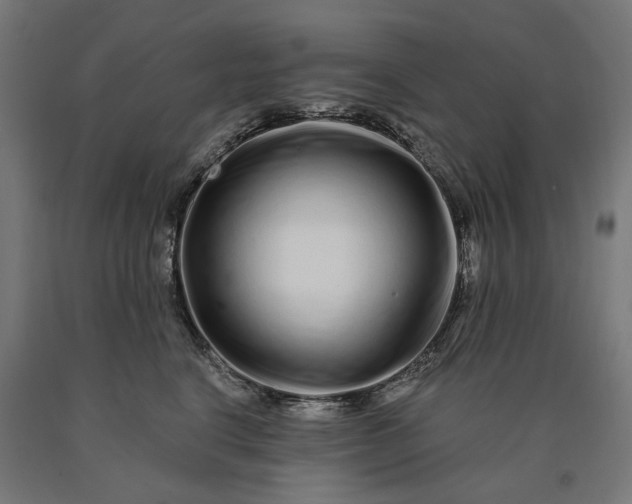 X0000090610664200707311223