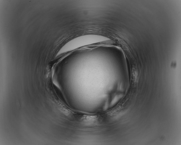 X0000090610665200707311223