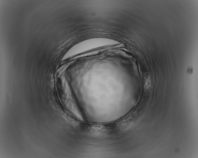 X0000090610666200707311223