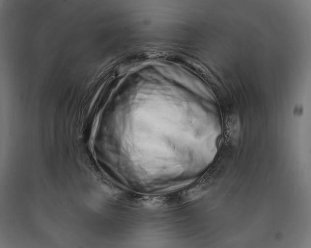 X0000090610667200707311223