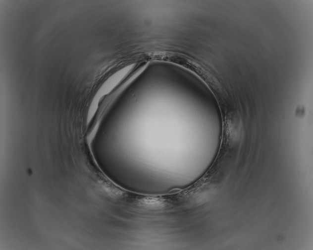 X0000090610668200707311223