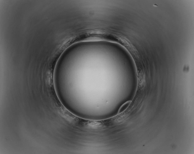 X0000090610669200707311223