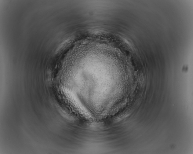 X0000090610670200707311223