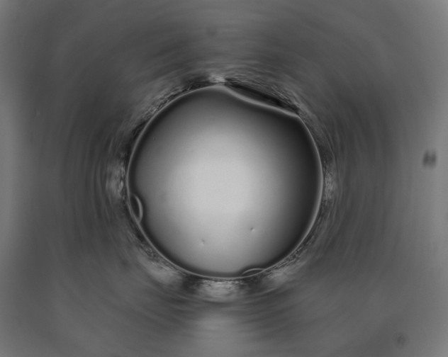 X0000090610671200707311223