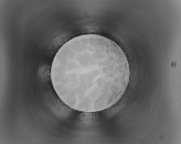 X0000090610672200707311223