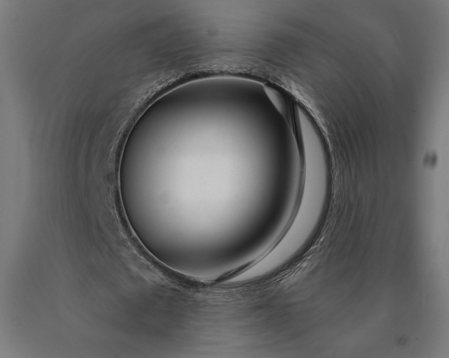 X0000090610673200707311223