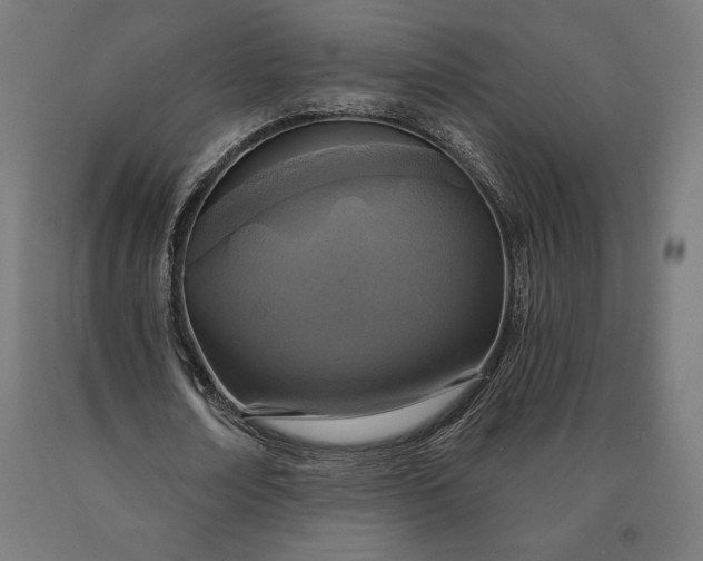 X0000090610674200707311223