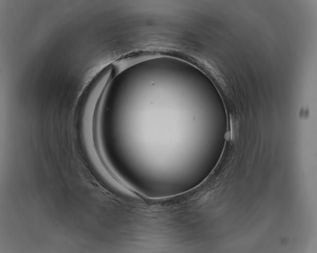 X0000090610675200707311223