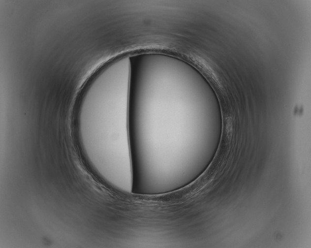 X0000090610676200707311223