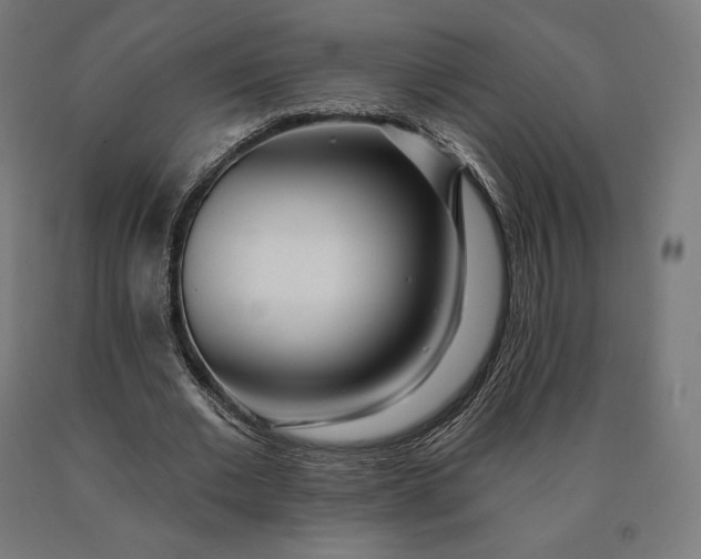 X0000090610677200707311223