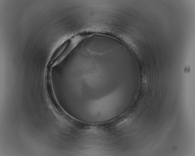 X0000090610678200707311223