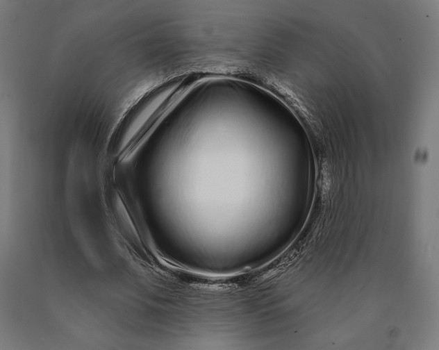 X0000090610679200707311223