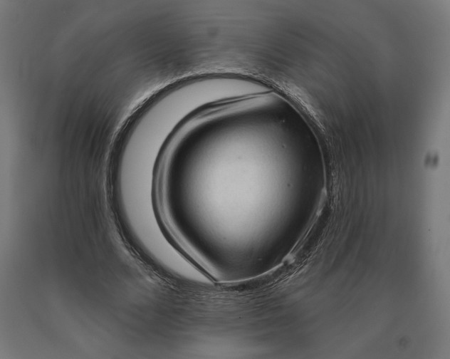 X0000090610680200707311223