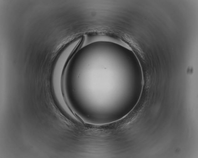 X0000090610681200707311223