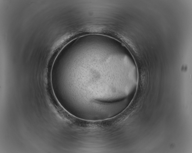 X0000090610682200707311223