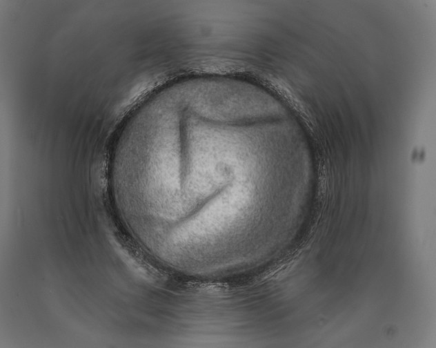 X0000090610683200707311223