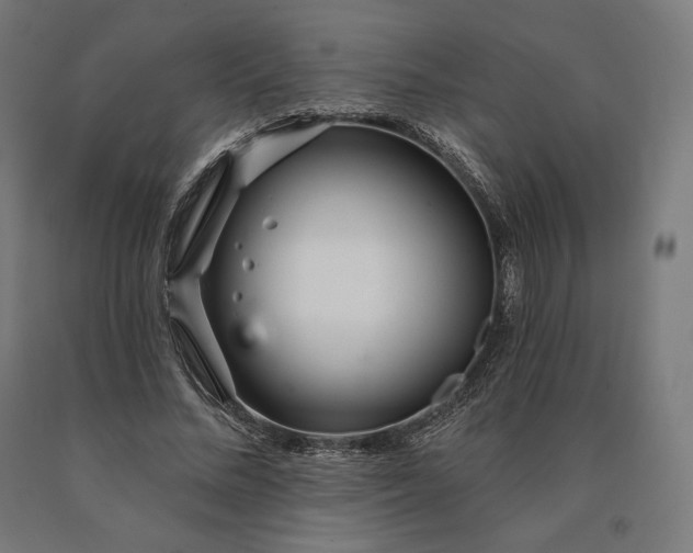 X0000090610684200707311223