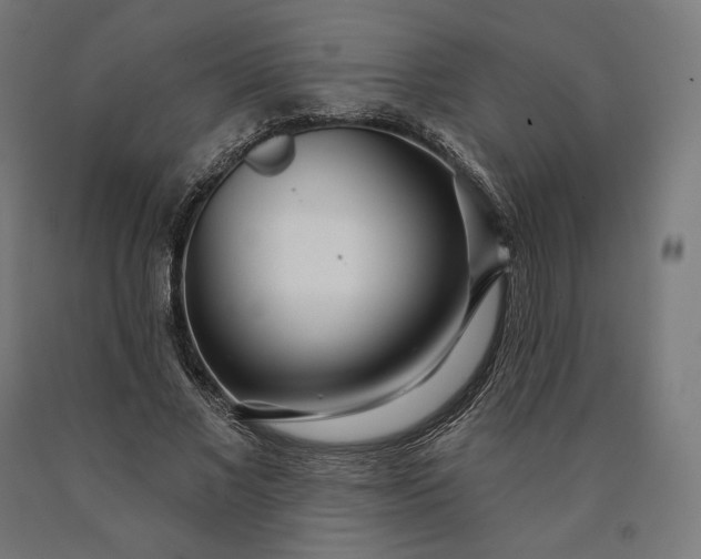 X0000090610685200707311223