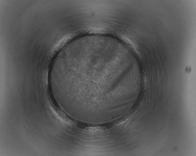 X0000090610686200707311223