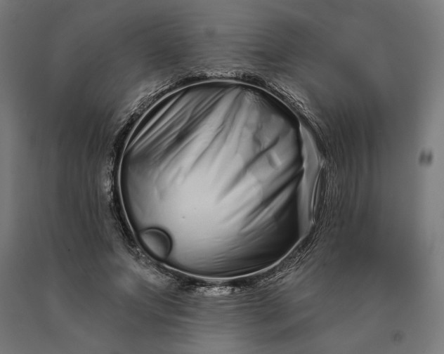 X0000090610687200707311223