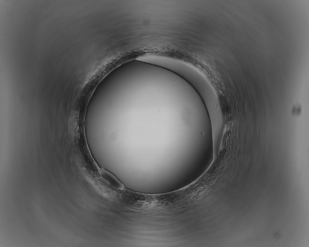 X0000090610688200707311223