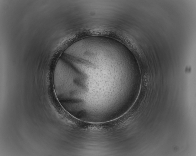 X0000090610690200707311223