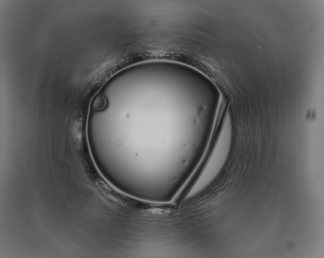 X0000090610691200707311223