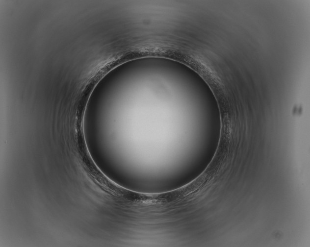 X0000090610692200707311223