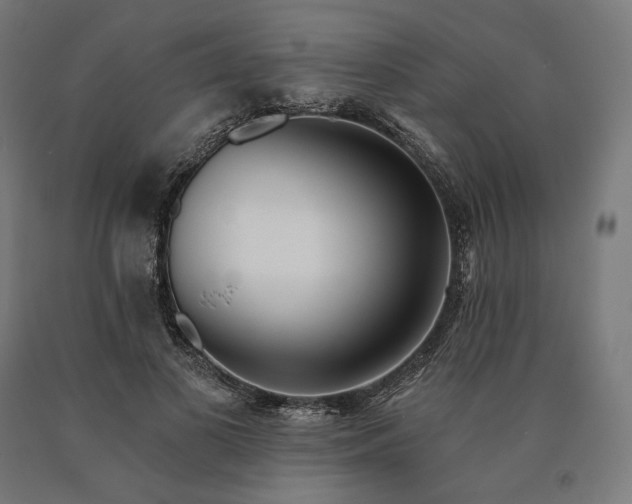 X0000090610693200707311223