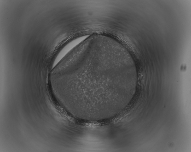 X0000090610694200707311223