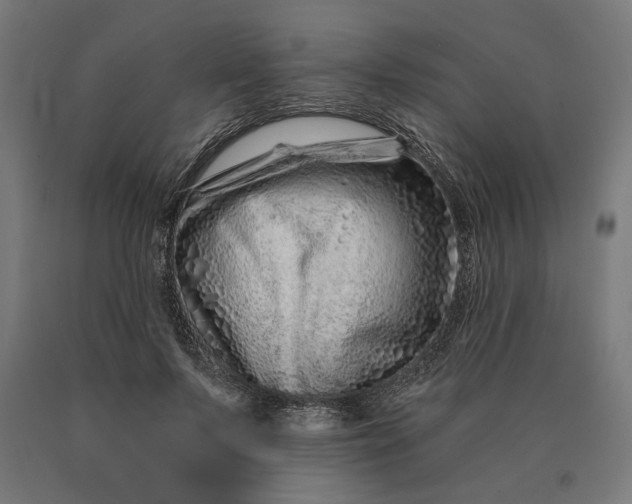 X0000090610695200707311223