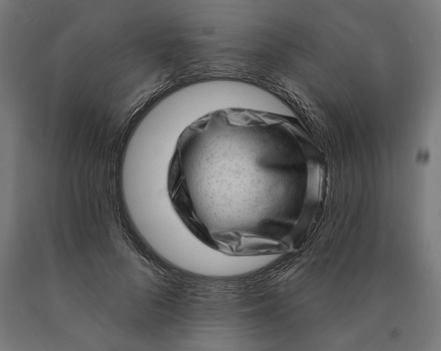 X0000090610696200707311223