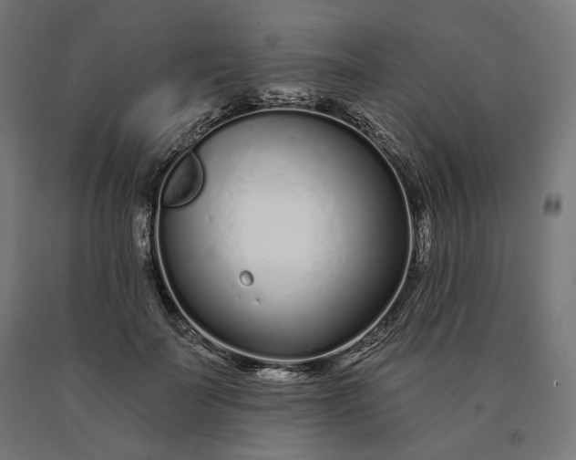 X0000090610699200707311222