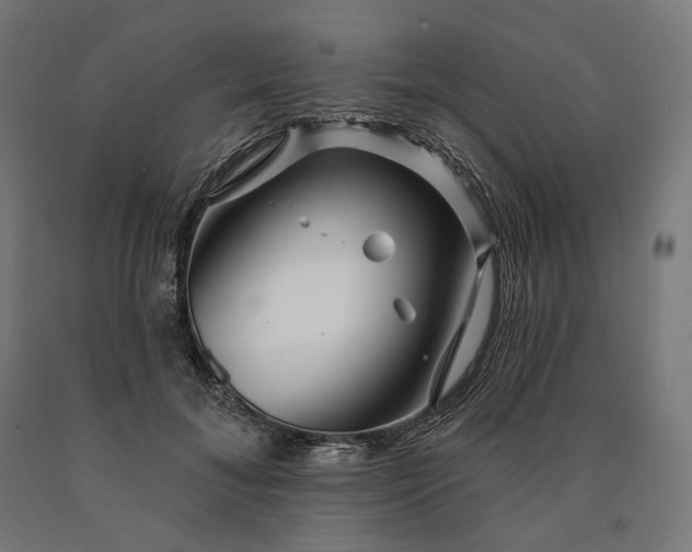 X0000090610700200707311222