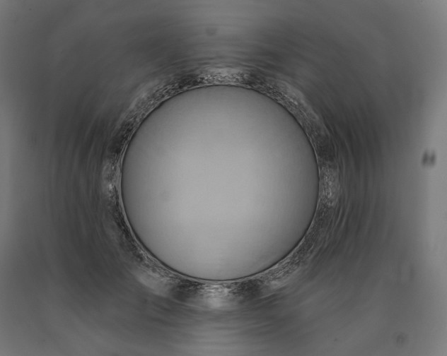 X0000090610701200707311222