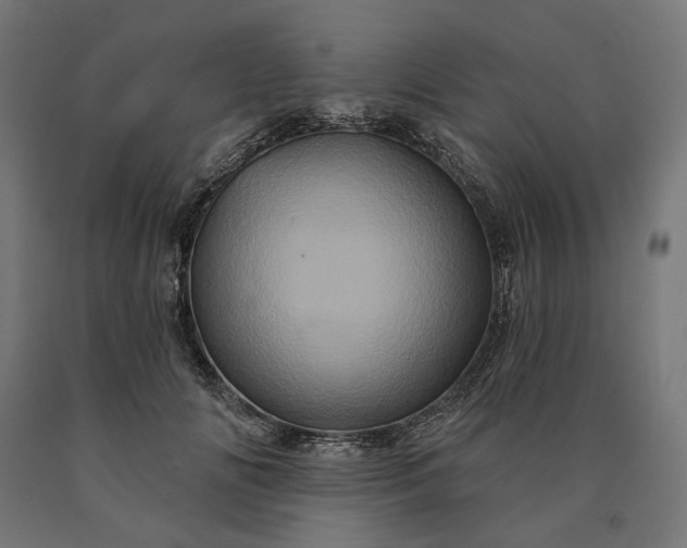 X0000090610702200707311222