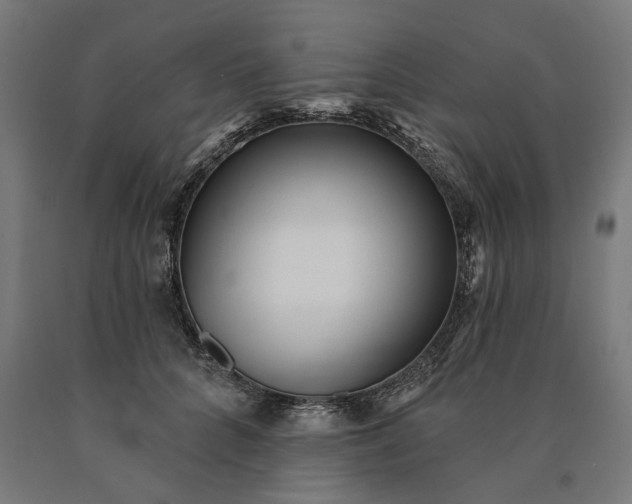 X0000090610704200707311222