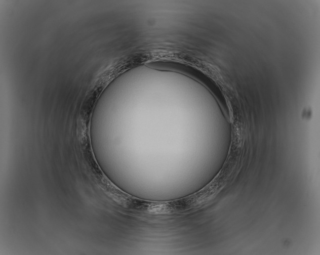 X0000090610705200707311222