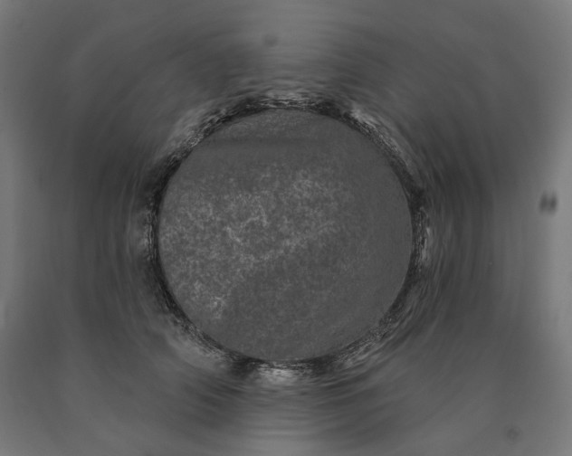 X0000090610706200707311222