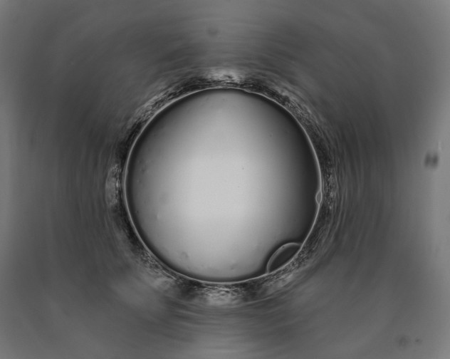 X0000090610707200707311222