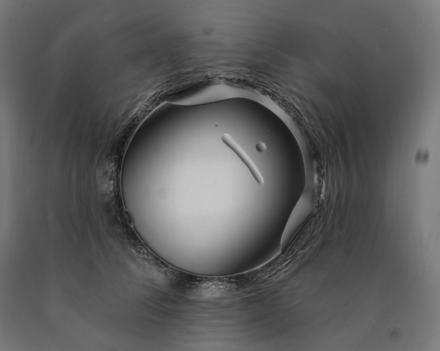 X0000090610708200707311222